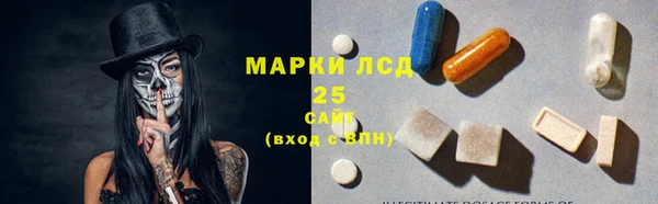 PSILOCYBIN Волосово