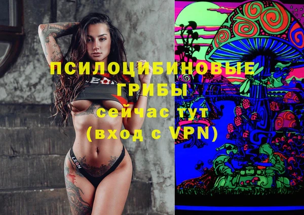 PSILOCYBIN Волосово