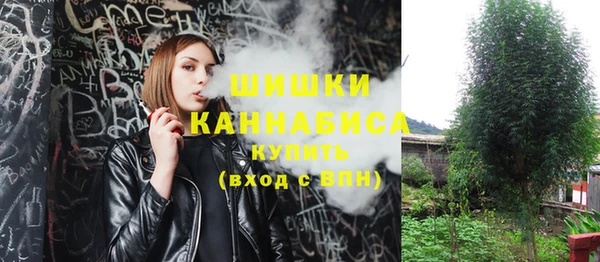 PSILOCYBIN Волосово