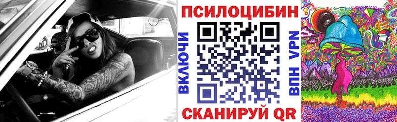 купить  сайты  Ярцево  Псилоцибиновые грибы мухоморы 